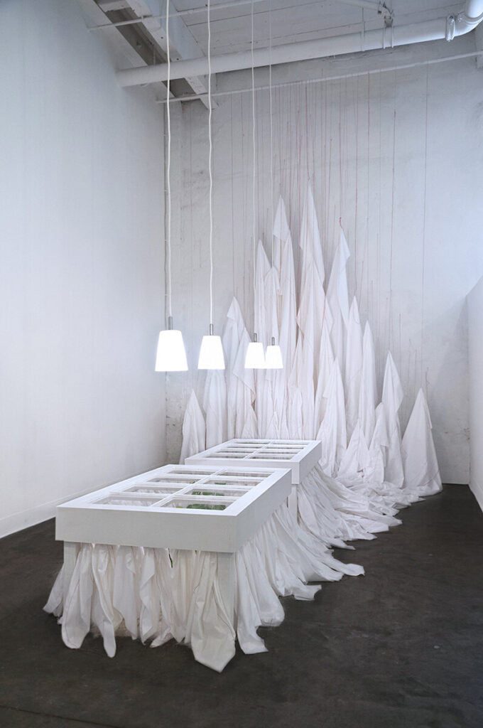 Sophia Sober - Installation art