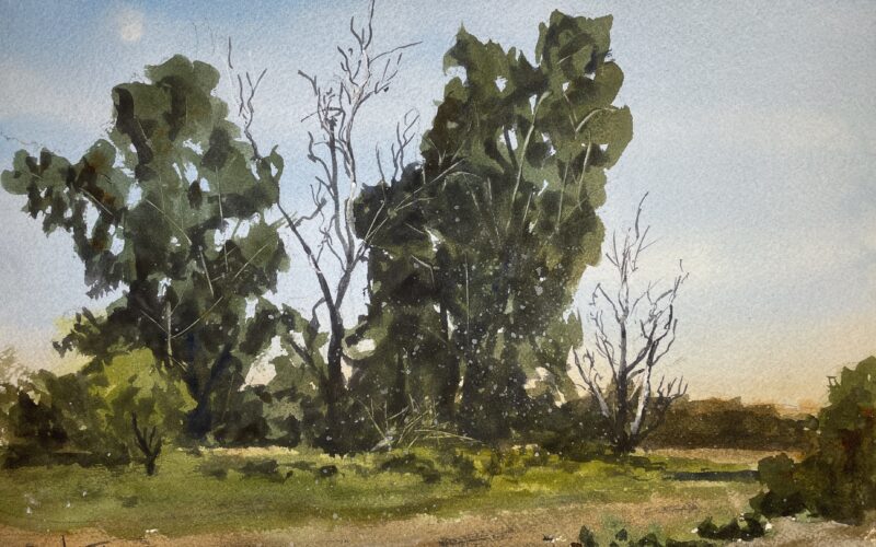 Submitted by Jacob Bentz for 101 Artbook: Landscape Edition
