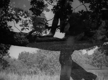 How Old Photos Speak Differently Every Time We See Them