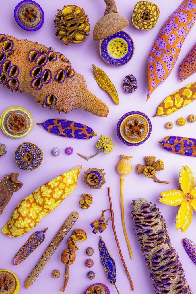 How seedpods became part of Chelsea Baker’s daily practice