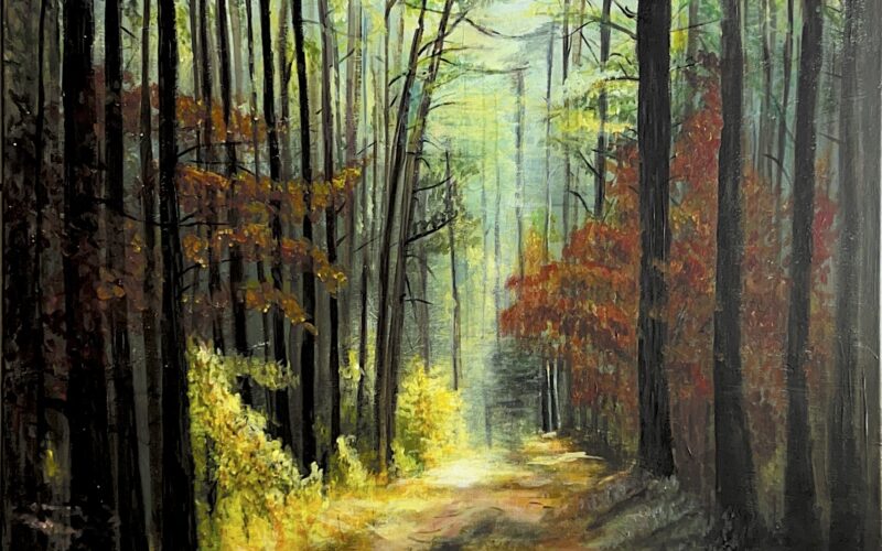 How Meera Slowly Shifted from Hobbyist to an Exhibiting Artist